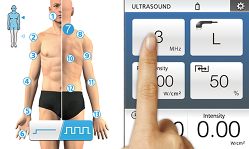 HUMAN BODY DIAGRAM