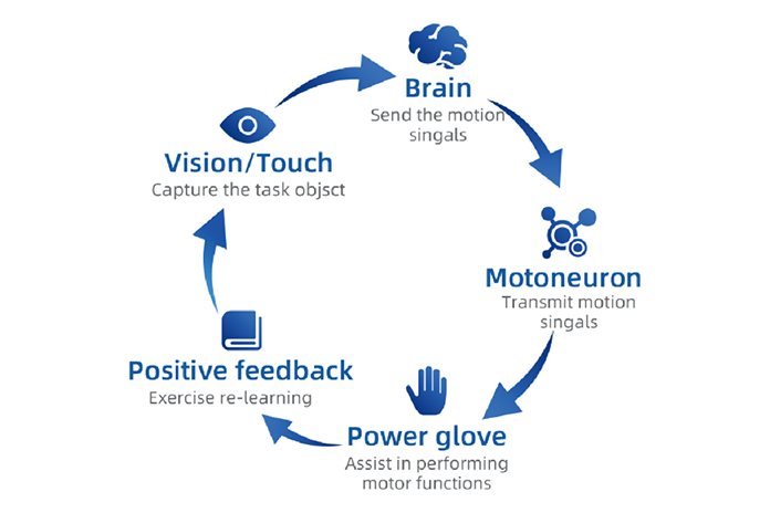 CLINICAL THEORIES